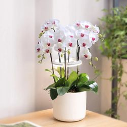 Светильник для растений Cactus Garden, 7.5Вт, белый