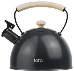 Металлический чайник LARA LR00-92, 2.5л