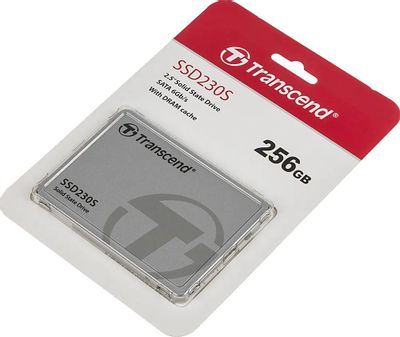 Ts256gssd230s online