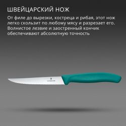 Нож кухонный Victorinox Swiss Classic 6.7234.C1, универсальный, для стейка/пиццы, 110мм, заточка серрейтор, стальной, зеленый