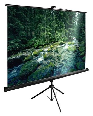 Экран Cactus TriExpert CS-PSTE-220x165-BK,  220х165 см, 4:3,  напольный черный