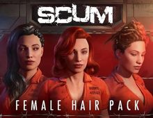 Изображение товара Дополнение к игре JAGEX SCUM Female Hair Pack для ПК с русской локализацией