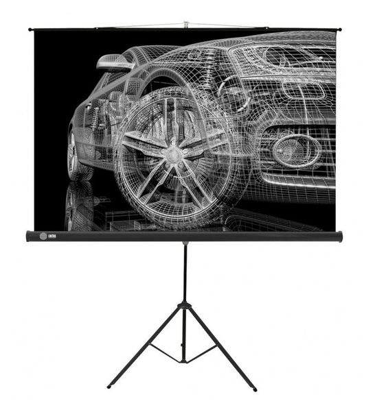 Экран Cactus Triscreen CS-PST-124x221,  221х124.5 см, 16:9,  напольный черный