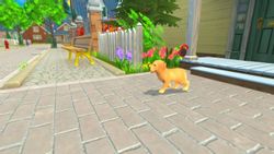 Игра MICROIDS My Universe - Puppies & Kittens, для ПК, регион: Россия,СНГ