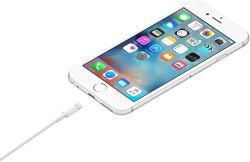 Кабель Apple A1480,  Lightning (m) -  USB (m),  1м,  белый