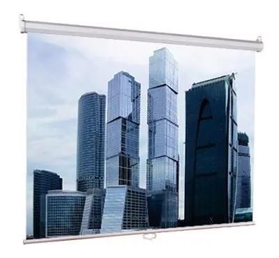 Экран Lumien Eco Picture LEP-100102, 180х180 см, 1:1, настенно-потолочный
