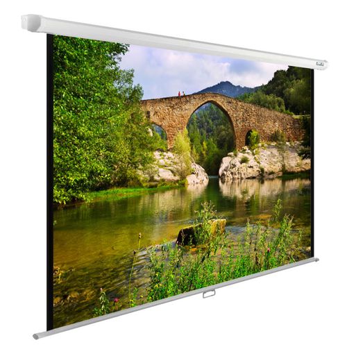 Экран Cactus WallExpert CS-PSWE-220×165-WT, 220х165 см, 4:3, настенно-потолочный белый