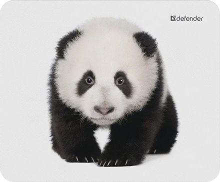 Коврик для мыши Defender Wild Animals (S) рисунок, ткань, 220х180х2мм [50803]