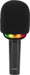 Изображение товара Микрофон Hyundai H-MIC100,  черный [hmic100]
