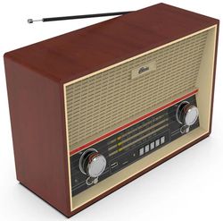Радиоприемник Ritmix RPR-102