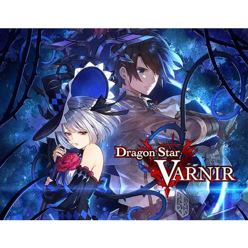 Игра IDEA FACTORY INTERNATIONAL Dragon Star Varnir, для ПК, регион: Россия,СНГ, английская версия