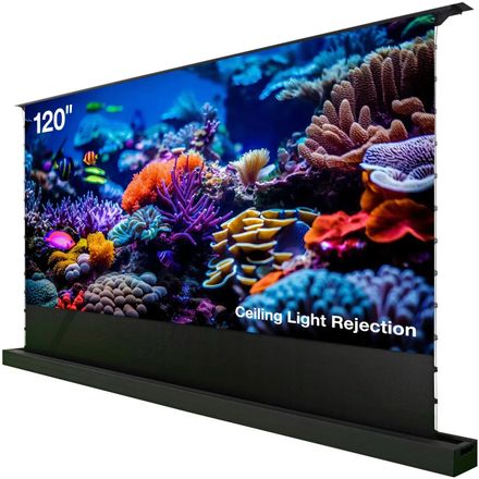 Экран Cactus FloorRising CS-PSFRCLR-263X148, 263х148 см, 16:9, напольный черный