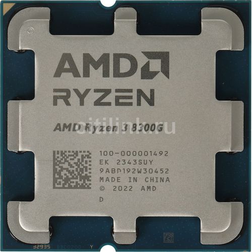 Процессор AMD Ryzen 3 8300G, AM5, OEM [100-000001492]