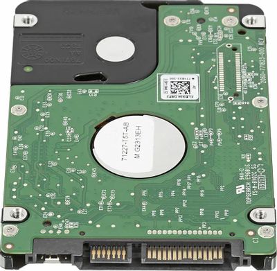 Wd av25 outlet