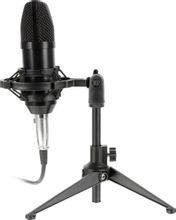 Микрофон Ritmix RDM-160,  черный