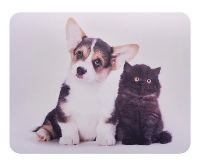 Коврик для мыши Buro BU-M40095 (S) рисунок/котенок и щенок, PVC, 230х180х2мм