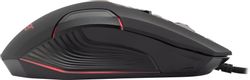 Мышь проводная Acer OMW170, USB, черный