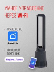 Вентилятор напольный Funai Tozama FBP-95E-GR