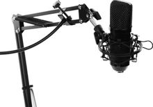 Микрофон Ritmix RDM-169,  черный