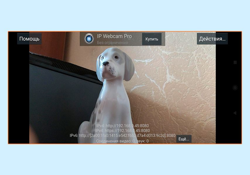 Скриншот с трансляции через программу IP Webcam