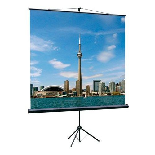 Экран Lumien Eco View LEV-100105, 160х160 см, 1:1, напольный