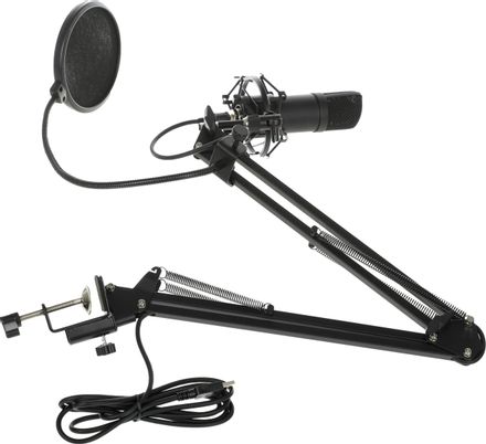 Микрофон Ritmix RDM-180,  черный [80000153]