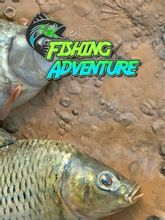 Изображение товара Игра ULTIMATE GAMES Fishing Adventure, для ПК, регион: Россия, Весь мир, RUS (интерфейс и субтитры) Изображение товара Игра ULTIMATE GAMES Fishing Adventure, для ПК, регион: Россия, Весь мир, RUS (интерфейс и субтитры)