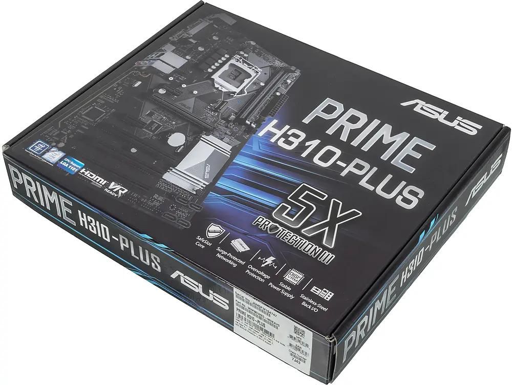 Asus h310 plus best sale