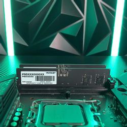 Оперативная память Patriot Signature PSD532G56002 DDR5 - 1x 32ГБ
