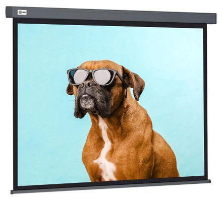 Экран Cactus Wallscreen CS-PSW-149X265-SG, 265.7х149.4 см, 16:9, настенно-потолочный серый