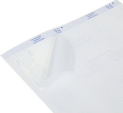 Этикетки Avery Zweckform 3660, A4, универсальная, 100л, 70г/м2, белый, 67.7мм х 97мм, 8шт, покрытие матовое