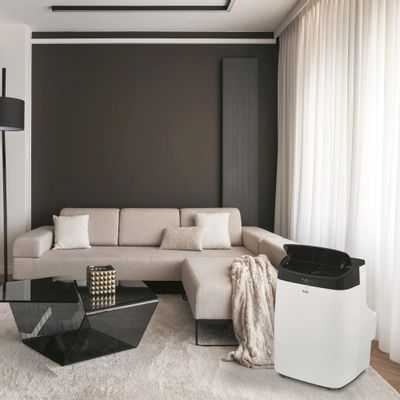 Кондиционер мобильный Ballu Smart Wind BPAC-12 SW/N1 белый – купить в ...