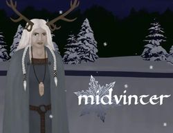 Игра VALIANT GAME STUDIO Midvinter, для ПК, регион: Россия,СНГ