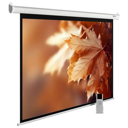 Экран Cactus MotoExpert CS-PSME-300x188-WT,  300х188 см, 16:10,  настенно-потолочный белый