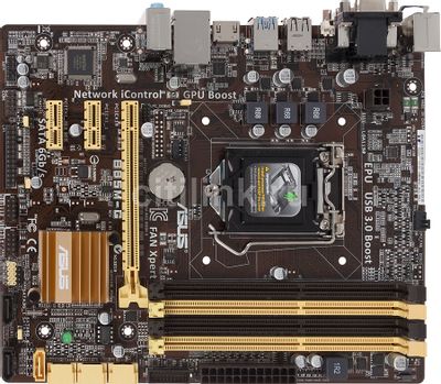 ASUS B85M G LGA 1150 Intel B85