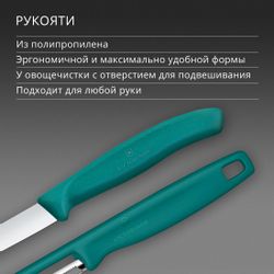 Набор нож/овощечистка Victorinox Swiss Classic 6.7114.21C1