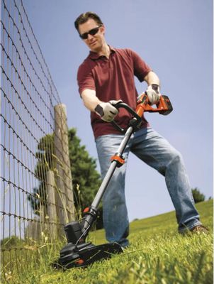 BLACK DECKER GLC3630L20 QW 36 2 1139566