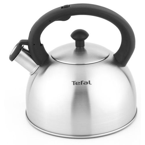 Металлический чайник Tefal N4210117, 2.5л, серебристый [3110602015]