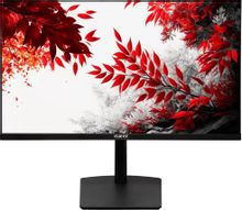Изображение товара 31.5" Монитор RDW COMPUTERS RDW3207,  "R", 2560x1440,  IPS,  100Гц,  2хHDMI,  1хDP,  черный [3207k/q12b3100v2a1b]
