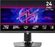 Изображение товара 24.5" Монитор MSI MPG 242R X60N,  1920x1080,  TN,  600Гц,  2хHDMI,  1хDP,  черный [9s6-3bc79t-009]