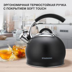 Металлический чайник StarWind Concept, 3л