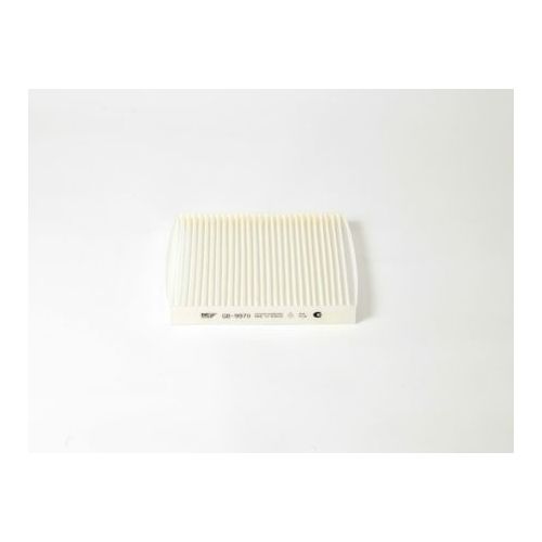 Фильтр салонный BIG FILTER GB-9970