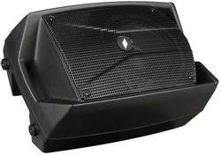 Центральная колонка PROEL V8Pro, (1 колонка в комплекте), черный