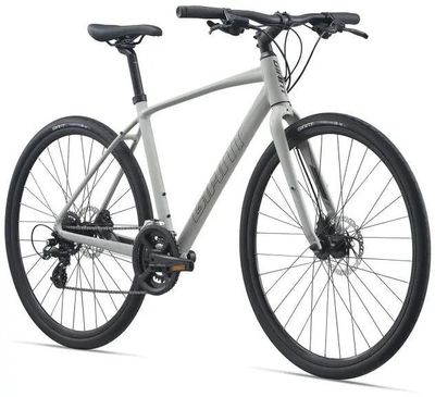 Giant escape 2 disc hybrid bike sale