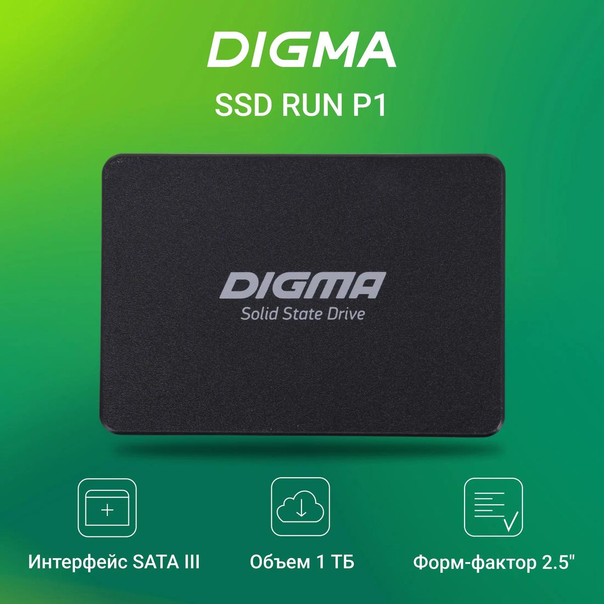 SSD накопитель Digma Run P1 DGSR2001TP13T 1ТБ