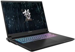 Ноутбук игровой COLORFUL X18 Max HA99A6404TJ-K-C2A, 18", IPS, Intel Core Ultra 9 275HX, 24-ядерный, 64ГБ DDR5, 4ТБ SSD, NVIDIA GeForce RTX 5090 для ноутбуков - 24 ГБ, черный