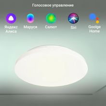 Умный светильник Digma TopLight TL25 потолочный