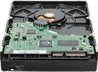 Seagate Samsung ST500DM005 500 HDD SATA II 3.5 672452