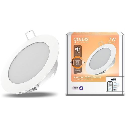 Умный светильник IoT GAUSS Smart Home потолочный [2010122]