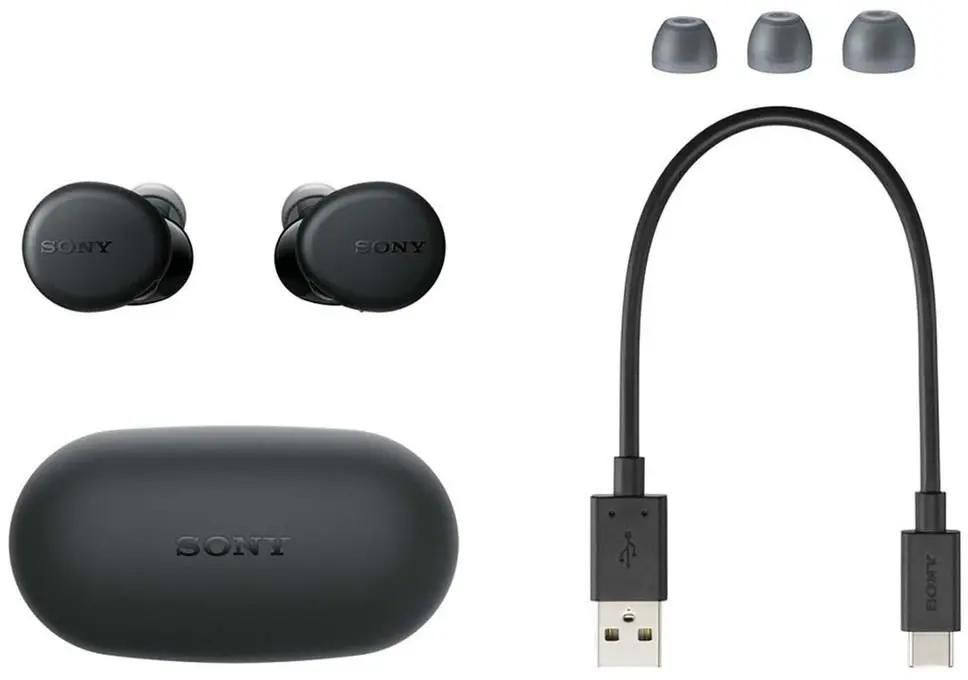 Sony wf xb700 true wireless earbuds clearance